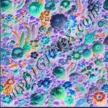 Colour:F