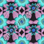 Colour:F