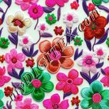 Colour:B