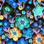 Colour:F