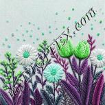 Colour:C