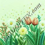 Colour:K
