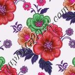Colour:B