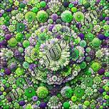 Colour:D
