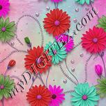 Colour:B