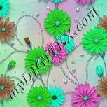 Colour:C