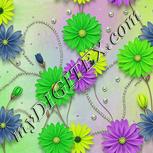 Colour:D