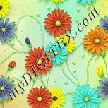 Colour:K