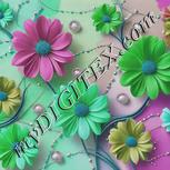 Colour:C