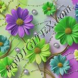 Colour:D