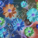 Colour:F
