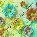 Colour:K