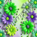 Colour:D
