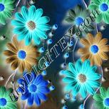 Colour:F