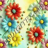 Colour:K