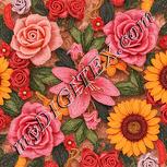 Colour:J
