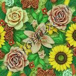 Colour:K