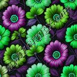 Colour:C