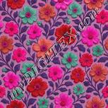 Colour:B