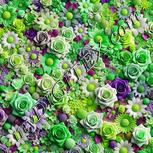 Colour:D
