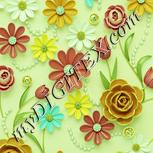 Colour:K