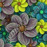 Colour:K