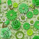 Colour:D