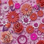 Colour:B