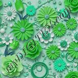 Colour:C