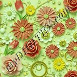 Colour:K