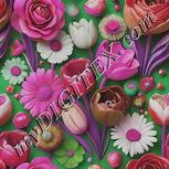 Colour:B