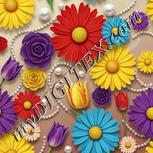 Colour:A