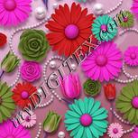 Colour:B