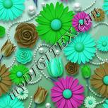 Colour:C