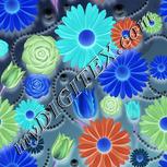 Colour:F