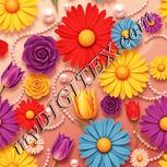 Colour:J