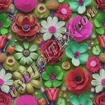Colour:B