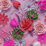 Colour:B
