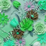 Colour:C