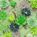 Colour:D