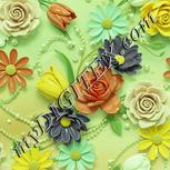 Colour:K