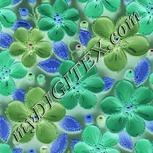 Colour:F