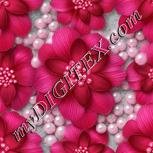 Colour:B