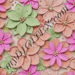 Colour:B