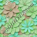 Colour:C