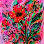 Colour:B