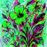 Colour:C