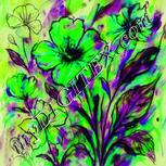 Colour:D