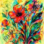 Colour:K