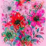 Colour:B